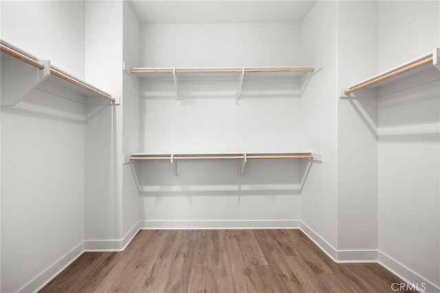 spacious closet with wood finished floors