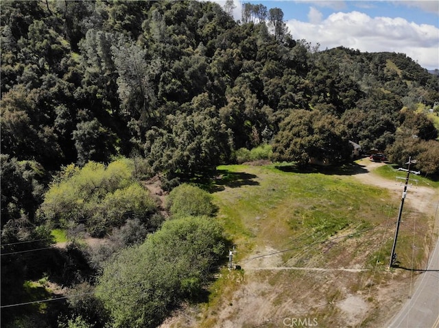 6245 Parkhill, Santa Margarita, CA 93453 - photo 11
