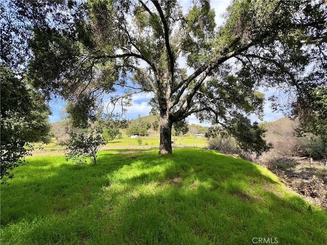 6245 Parkhill, Santa Margarita, CA 93453 - photo 15