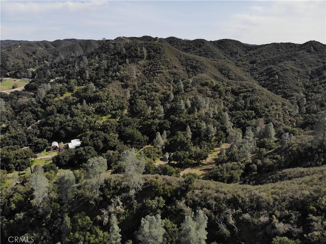 6245 Parkhill, Santa Margarita, CA 93453 - photo 14