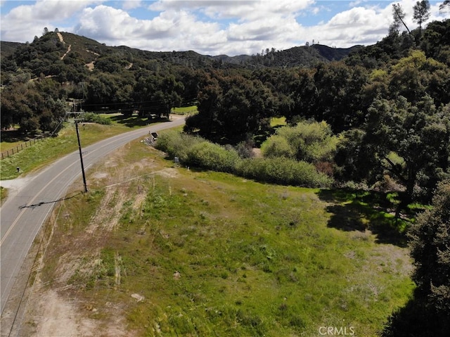 6245 Parkhill, Santa Margarita, CA 93453 - photo 10