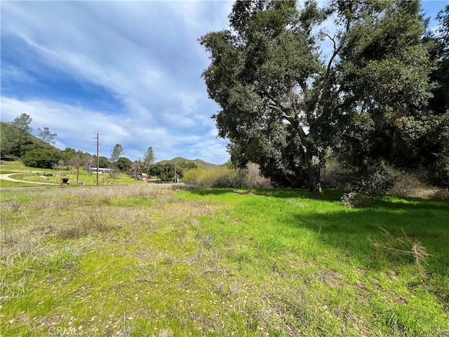6245 Parkhill, Santa Margarita, CA 93453 - photo 4