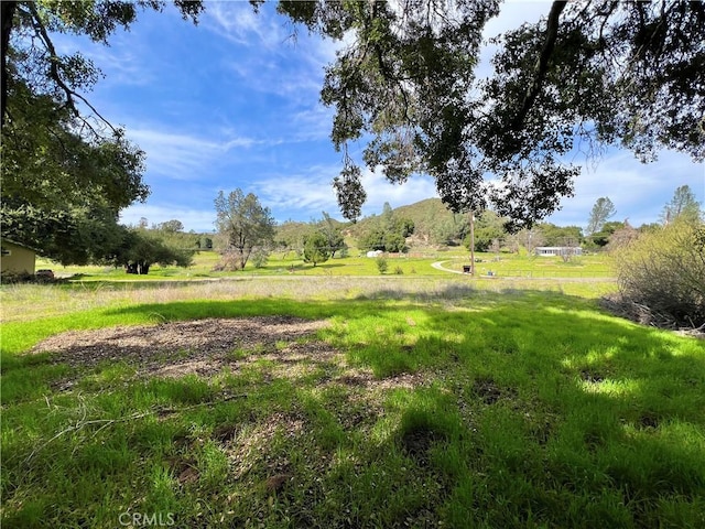 6245 Parkhill, Santa Margarita, CA 93453 - photo 16