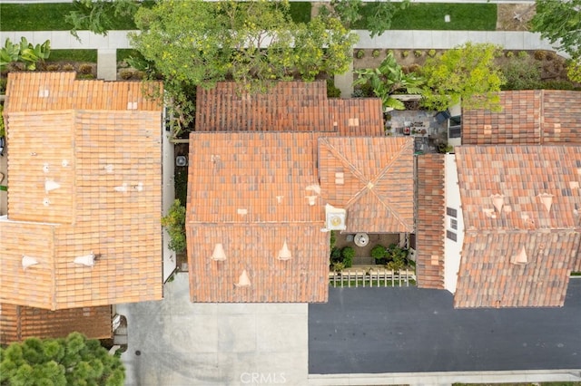 bird's eye view