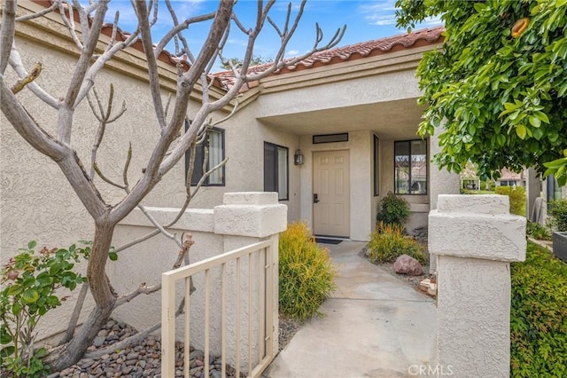 doorway to property featuring stucco siding and a tile roof