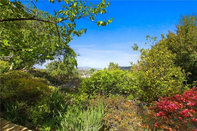336 Redwood Dr, Pasadena, CA 91105 - view of undeveloped land
