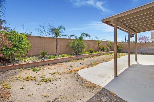 view of yard featuring a patio area and a fenced backyard