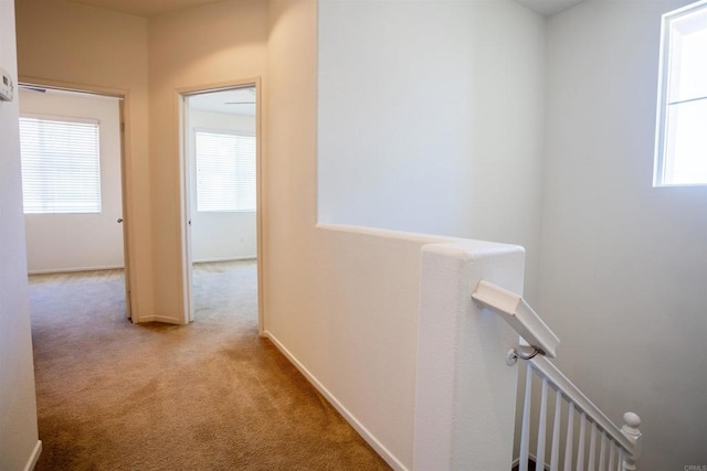 422 Cool Creek Ct Unit 5, Brawley, CA 92227 - corridor with an upstairs landing and carpet flooring