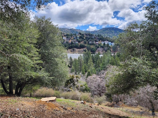 287 Zermatt Dr, Crestline, CA 92325 - photo 3