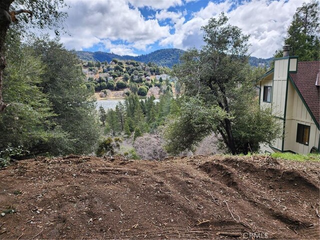 287 Zermatt Dr, Crestline, CA 92325 - photo 9