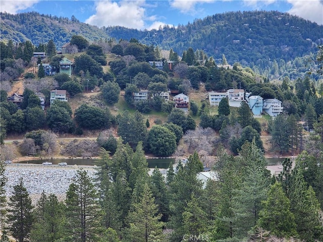 287 Zermatt Dr, Crestline, CA 92325 - photo 5