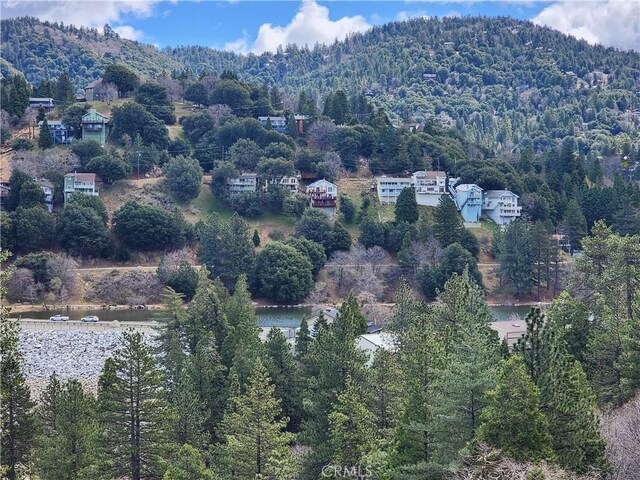 287 Zermatt Dr, Crestline, CA 92325 - photo 10