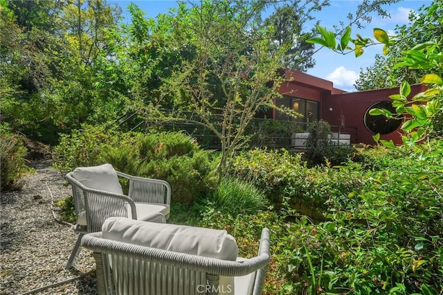 9955 Westwanda Dr, Beverly Hills, CA 90210 - view of yard
