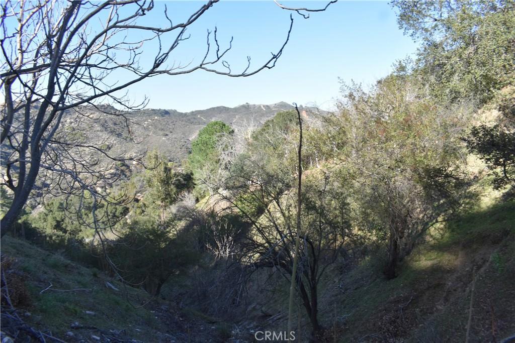29935 Hickory Dr, Cedar Glen, CA 92321