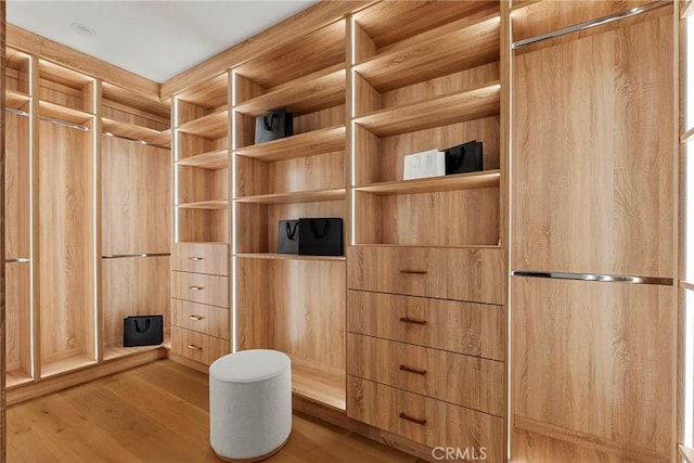 spacious closet featuring light wood-type flooring
