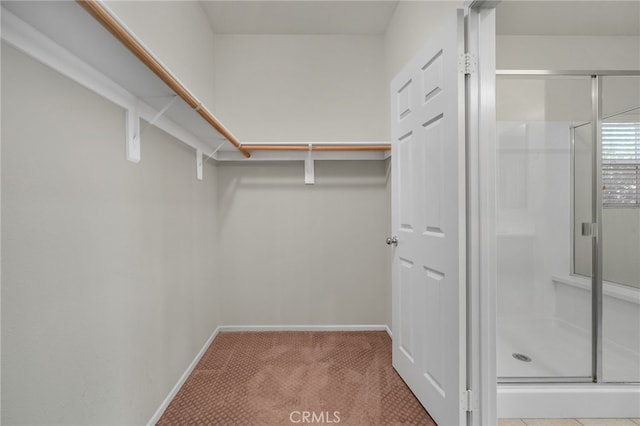 walk in closet featuring carpet