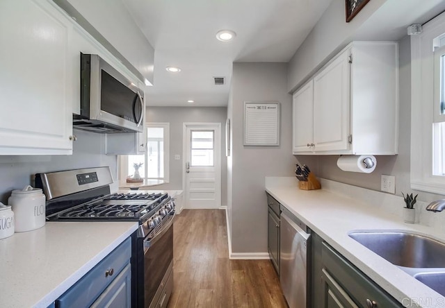 kitchen with blue cabinetry, white cabinetry, stainless steel appliances, and a sink