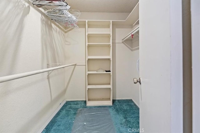 spacious closet with carpet flooring