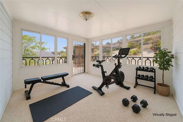 exercise area featuring carpet