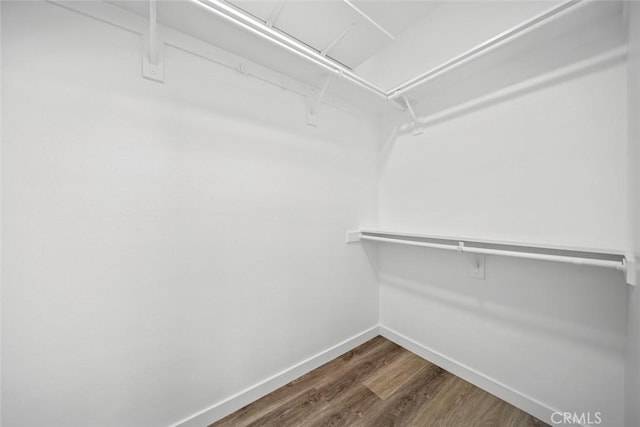 walk in closet with dark wood finished floors