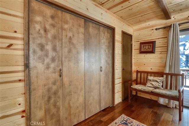 living area featuring wooden ceiling, dark wood-style floors, wood walls, and a wealth of natural light