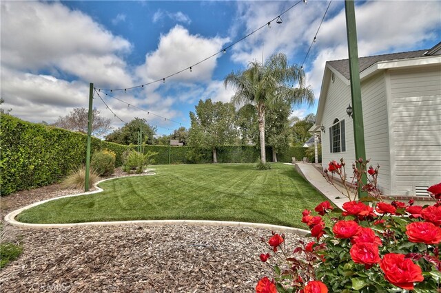 41548 Hutchison Ct, Murrieta, CA 92562 - view of yard