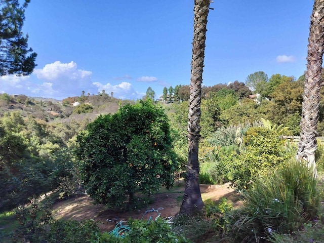 view of nature featuring a wooded view