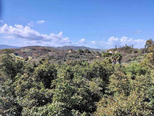 view of mountain feature featuring a forest view