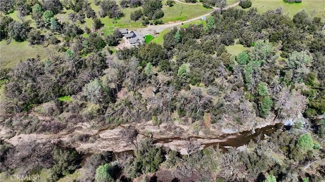 aerial view featuring a view of trees
