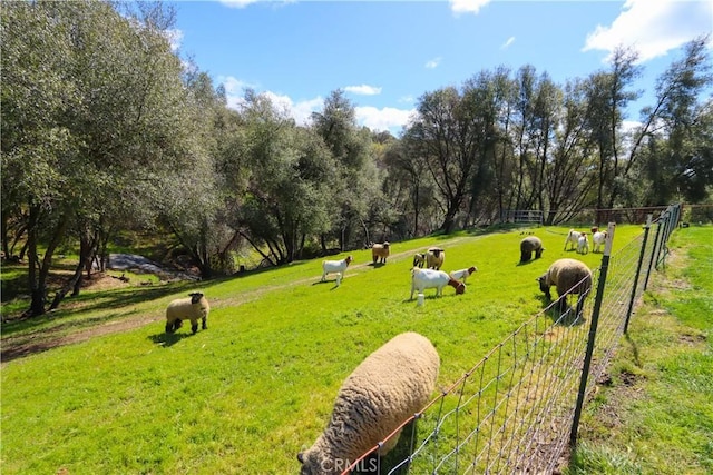 surrounding community with fence, a rural view, and a yard