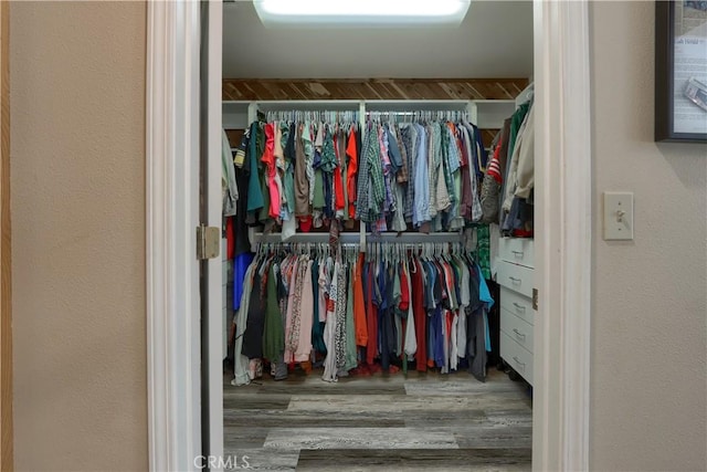 walk in closet with wood finished floors