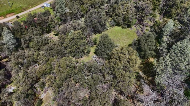 drone / aerial view with a forest view