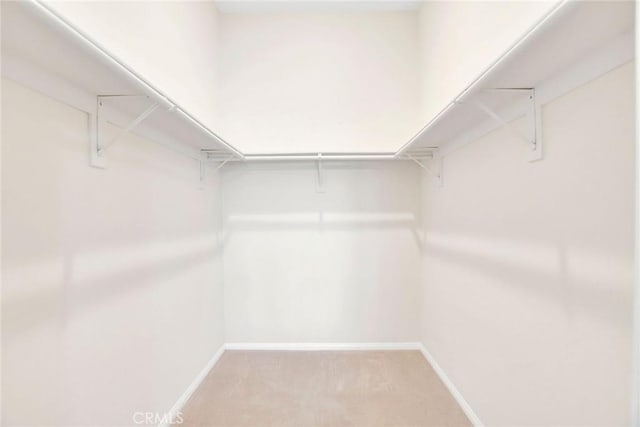 walk in closet featuring light carpet