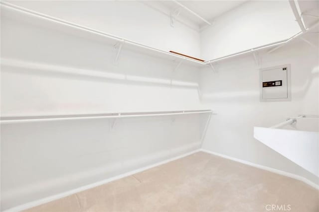 spacious closet with carpet flooring and electric panel