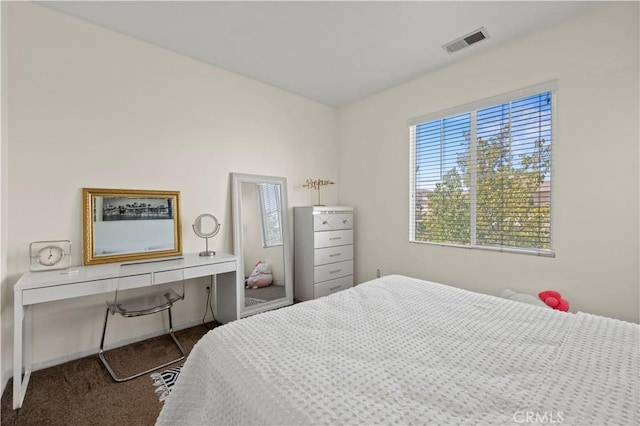 32177 Clear Springs Dr, Winchester, CA 92596 - bedroom with carpet floors