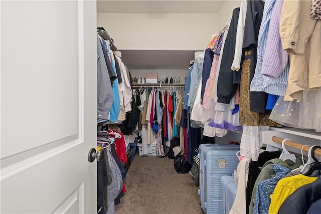 32177 Clear Springs Dr, Winchester, CA 92596 - walk in closet featuring carpet flooring