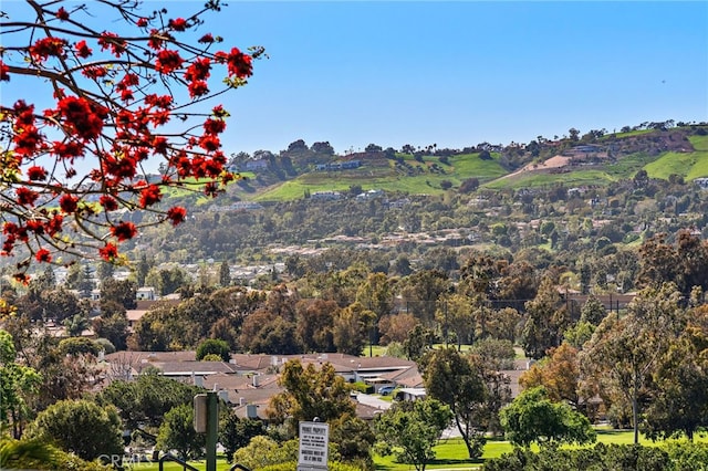 property view of mountains
