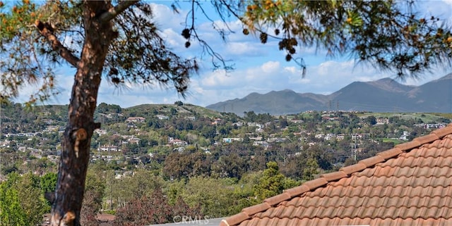 view of mountain feature