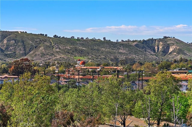 view of mountain feature