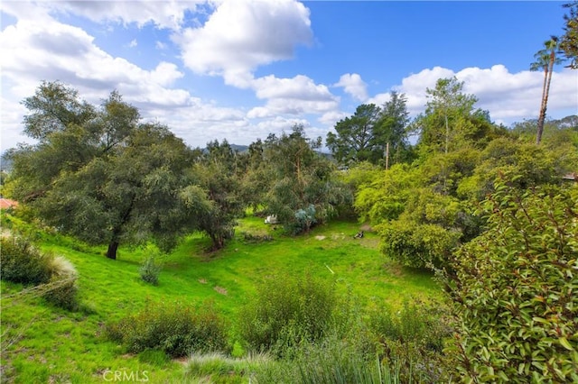 5271 Vista Miguel Dr, La Canada Flintridge, CA 91011 - photo 4