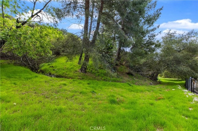 5271 Vista Miguel Dr, La Canada Flintridge, CA 91011 - photo 5