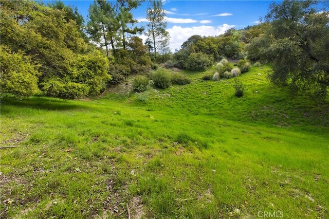 5271 Vista Miguel Dr, La Canada Flintridge, CA 91011 - photo 6