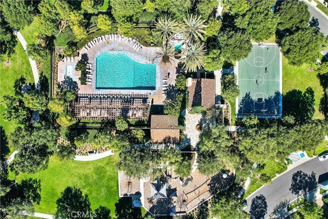 drone / aerial view