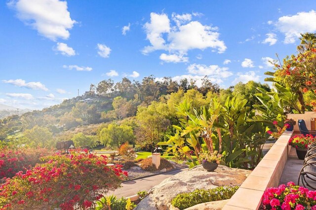 13613 Hillside Estates Dr, Jamul, CA 91935 - photo 62