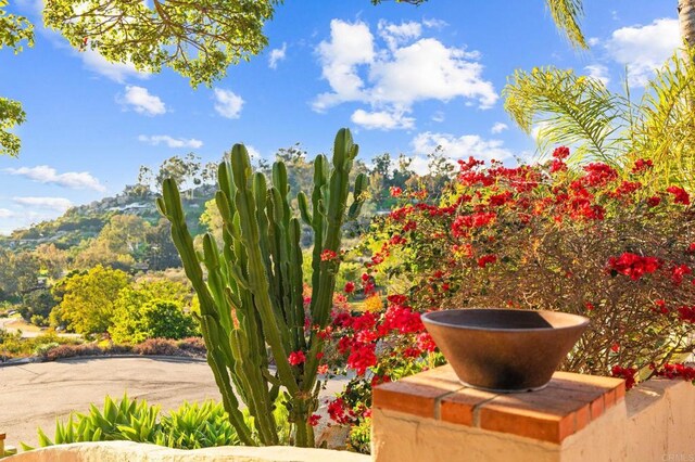 13613 Hillside Estates Dr, Jamul, CA 91935 - photo 3