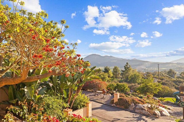 13613 Hillside Estates Dr, Jamul, CA 91935 - photo 50