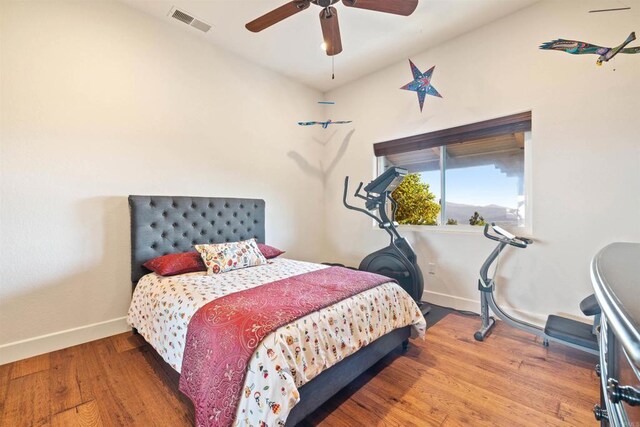 13613 Hillside Estates Dr, Jamul, CA 91935 - photo 30