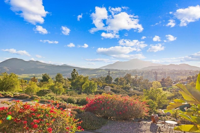 13613 Hillside Estates Dr, Jamul, CA 91935 - photo 1