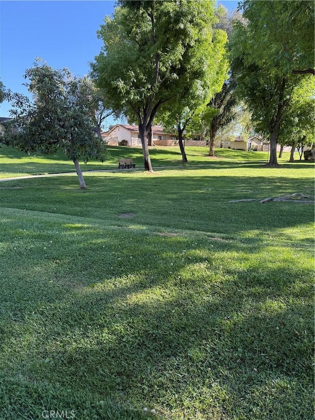 view of yard