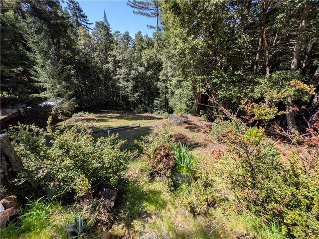 38160 Ocean Ridge Dr, Gualala, CA 95445 - photo 8